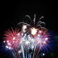 Firework Glory