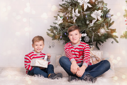 Two brothers under the tree laugh 2