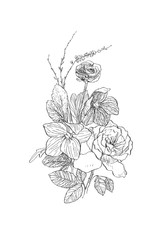 Vintage botanical illustration flower. Flower concept. Botanica concept. Vector design.