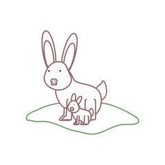 flat line  colored wild rabbit over white background  vector illustration
