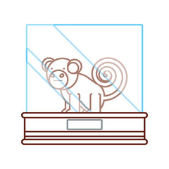 flat line colored  monkey exhibition over white background  vector illustration