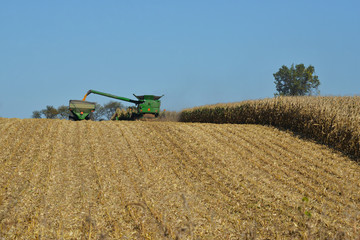 Combine harvesting corn and unloading to trailer