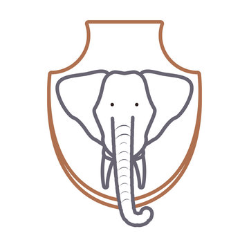 flat line colored  animal trophy  with elephant over white background  vector illustration
