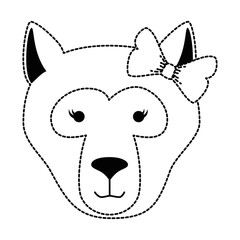 wild bear kodiak head