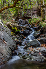 Kaledonia Waterfalls Nature Trail - obrazy, fototapety, plakaty