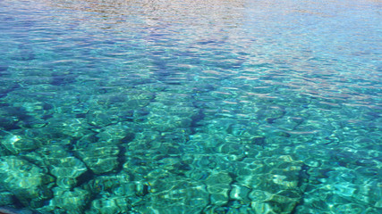 Fototapeta na wymiar detail shot from the deep blue sea