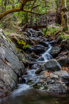 Kaledonia Waterfalls Nature Trail