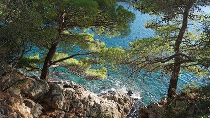 amazing natural beach in croatian town dubrovnik