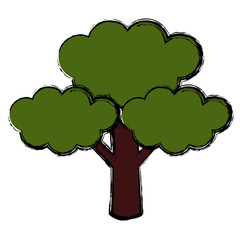 Broccoli fresh vegetable icon vector illustration graphic design