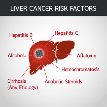 liver cancer risk factors vector logo icon illustration
