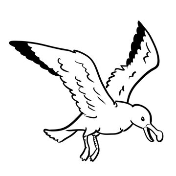 Isolated Gull Cartoon-Vector Hand drawn Illustration