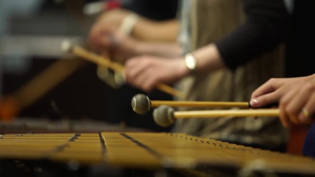 Close up of hands playing marimba in orchestra. Xylophone tandem