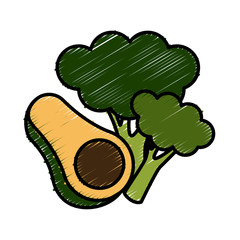 Avocado and broccoli icon vector illustration graphic design