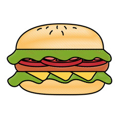 delicious burger isolated icon