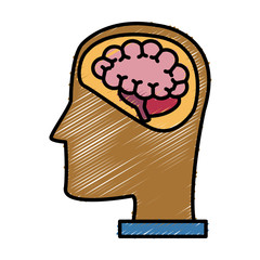 Head silhouette with brain icon vector illustration graphic design