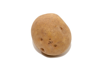 Fototapeta premium potato isolated on white background