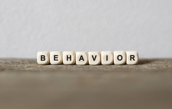 Word BEHAVIOR made with wood building blocks