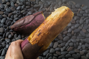 焼きたて石焼き芋　Stone baked sweet potato