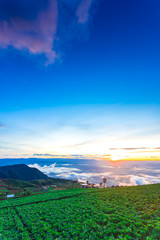 Obraz premium Natural Sunset Sunrise.Phu Thap Boek,Phetchabun Mountains.Landscape Sky At Sunset Dawn Sunrise. Unseen Thailand.