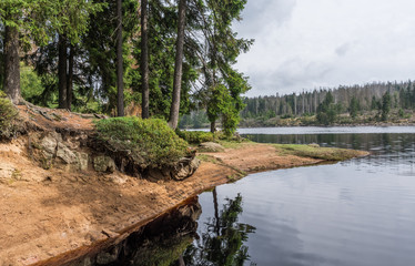 Fototapeta na wymiar The Silberteich lake in Harz, Germany
