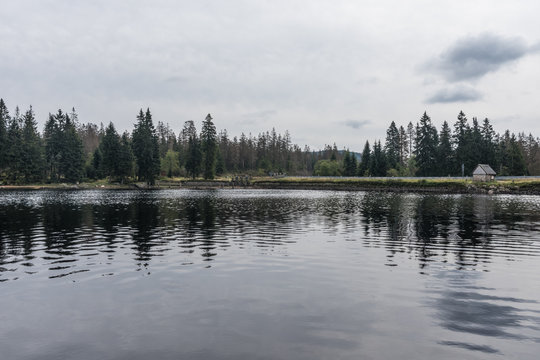 The Silberteich lake  in Harz, Germany