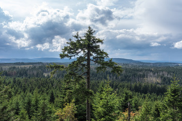 The landscape of mountain in Harz, Germany