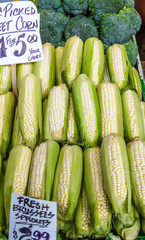 Fresh Corn in a Vegetable Market