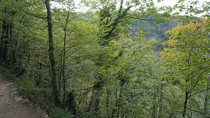 Fototapeta premium amazing landscape at the plitvice lakes in croatia
