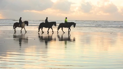 People riding horses on the beach at sunset
