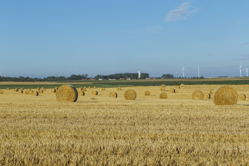 Fototapeta premium Yellow wheat field with straw bales after harvesting on a sunny day in Normandy, France. Country landscape, agricultural fields in summer. Environment friendly farming, industrial agriculture concept