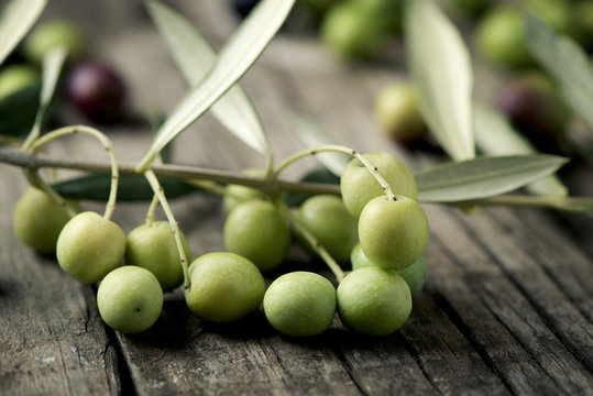 arbequina olives from Spain