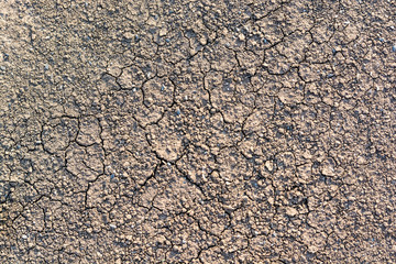 Dry fall ground with cracks