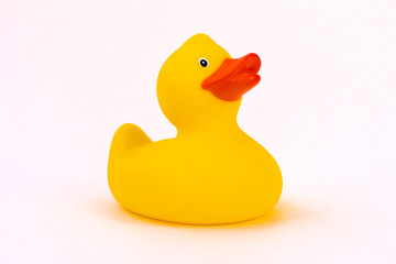 rubber duck