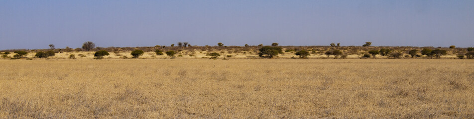 Central Kalahari Game Reserve, Botswana