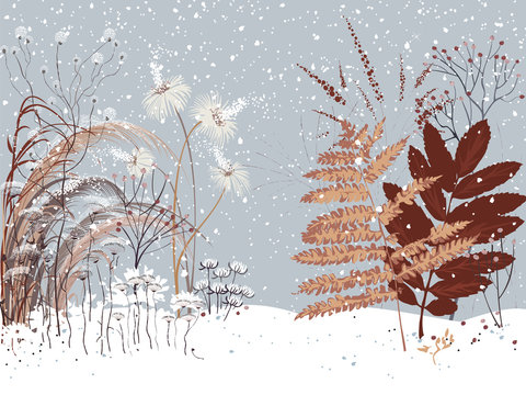 Winter landscape with various plants under snow