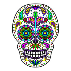 Day of The Dead colorful Skull with floral ornament. Mexican sugar skull. Vector illustration