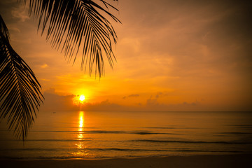 Fototapeta na wymiar Golden sun set in tropical hot summer beach with palm leaf in foreground in thailand, golden special effect.