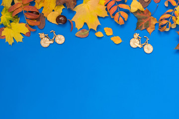 Fototapeta na wymiar Autumn blue background with colorful leaves