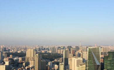 Fototapeta premium 日本の東京都市景観「青空と皇居周辺の街並みを望む」