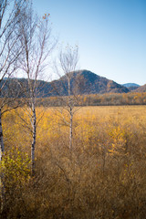 Obraz premium 日光の美しい風景