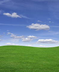 Green grass field and blue sky.