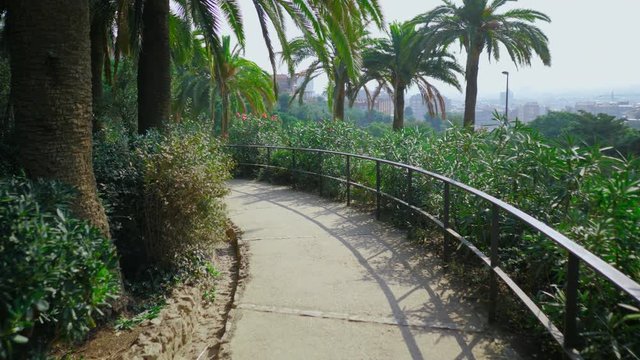 Guell Park with exotic palm trees and natural path. Tropical alley in beautiful park. Walking through palms with sunny blue sky. Very shiny and sunny summer shot. 4k