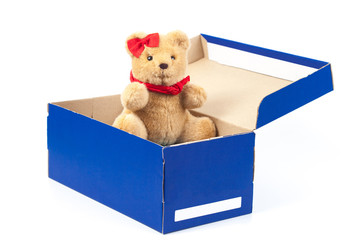 lovely bear toy in blue box gift on white background
