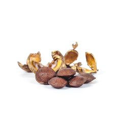  dry Inca peanut on white background