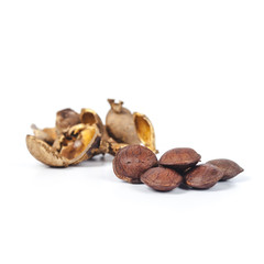  dry Inca peanut on white background