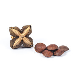 dry Inca peanut on white background