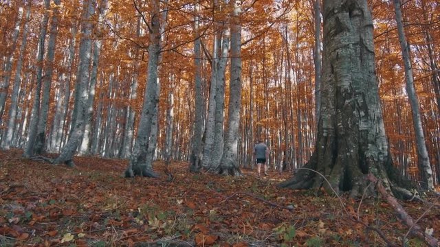 man running scared in dark autumn forest woods
