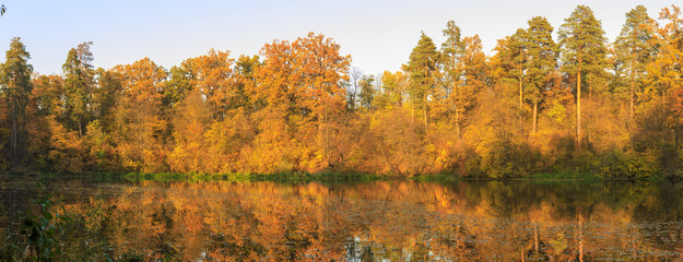 Obraz premium Golden autumn 