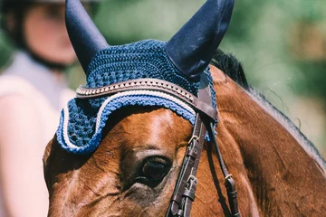 Selbstklebende Fototapete Reiten Springpferd