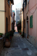 Fototapeta na wymiar alleys streets and building of Portovenere s